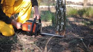 Lawn Grading and Leveling in Ester, AK